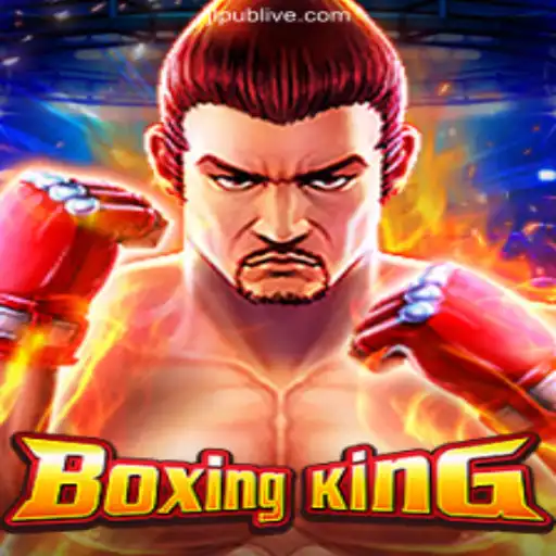 Unleashing the Champion Within: An In-Depth Look at BoxingKing